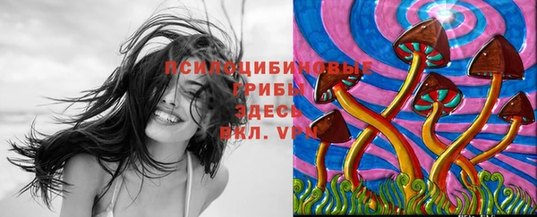 кокс Карталы