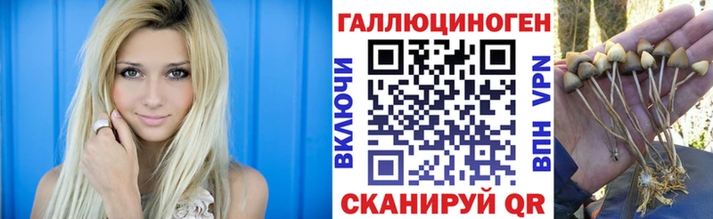 Галлюциногенные грибы Psilocybe  Купить где  Сосенский 